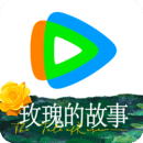 小说言情特色推荐短文
